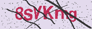 Güvenlik Kodu