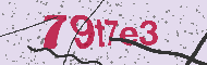 Güvenlik Kodu