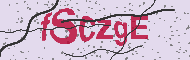 Güvenlik Kodu