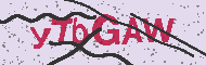 Güvenlik Kodu