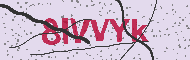 Güvenlik Kodu
