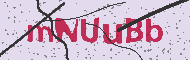 Güvenlik Kodu