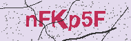 Güvenlik Kodu