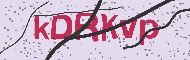 Güvenlik Kodu